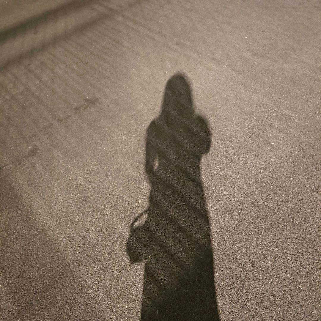 飞