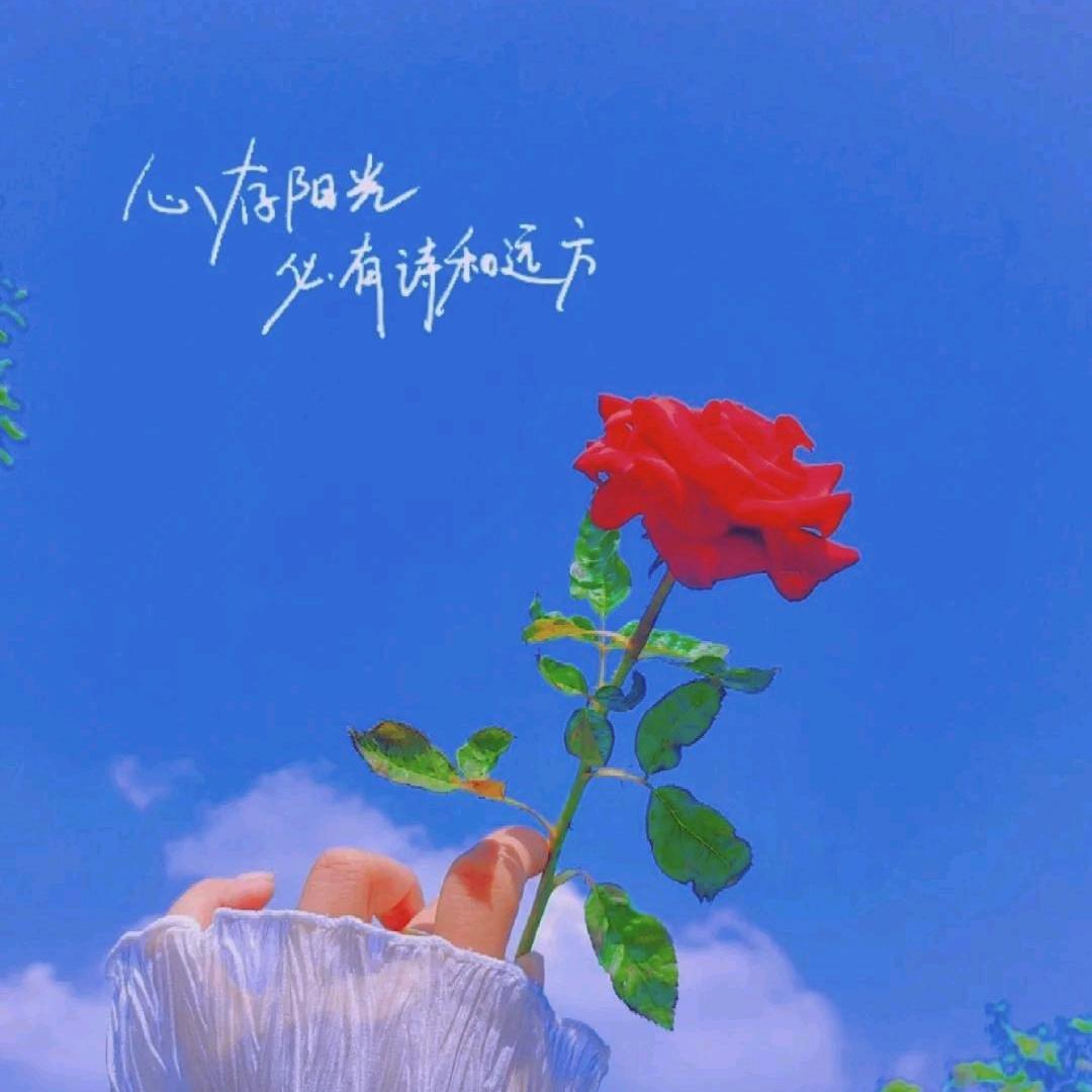 珍姐爱分享