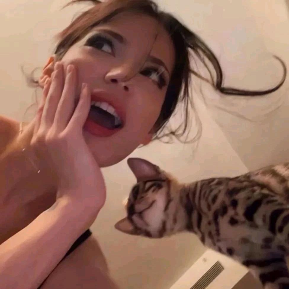 金丰通达国际供应链（新疆）有限公司