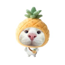 小蔡酱OvO