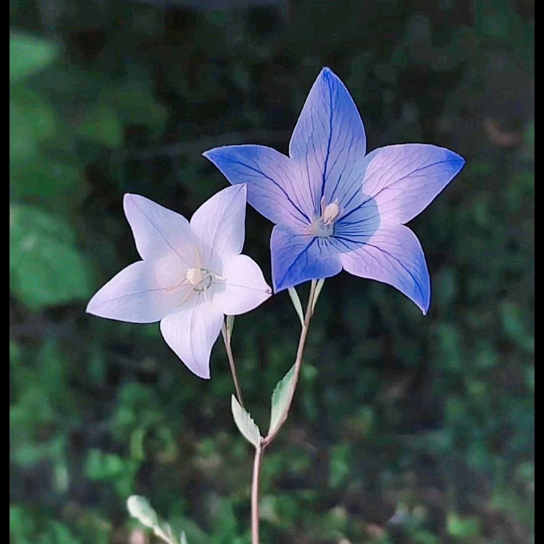 ꫛ᭄惠等💞风来ꦿ້໌ᮨ࿐