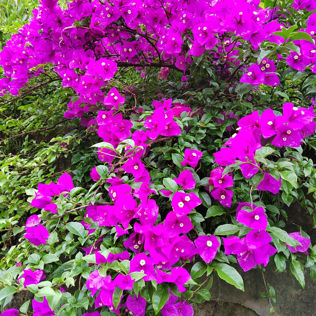 你拨的用户正在输入