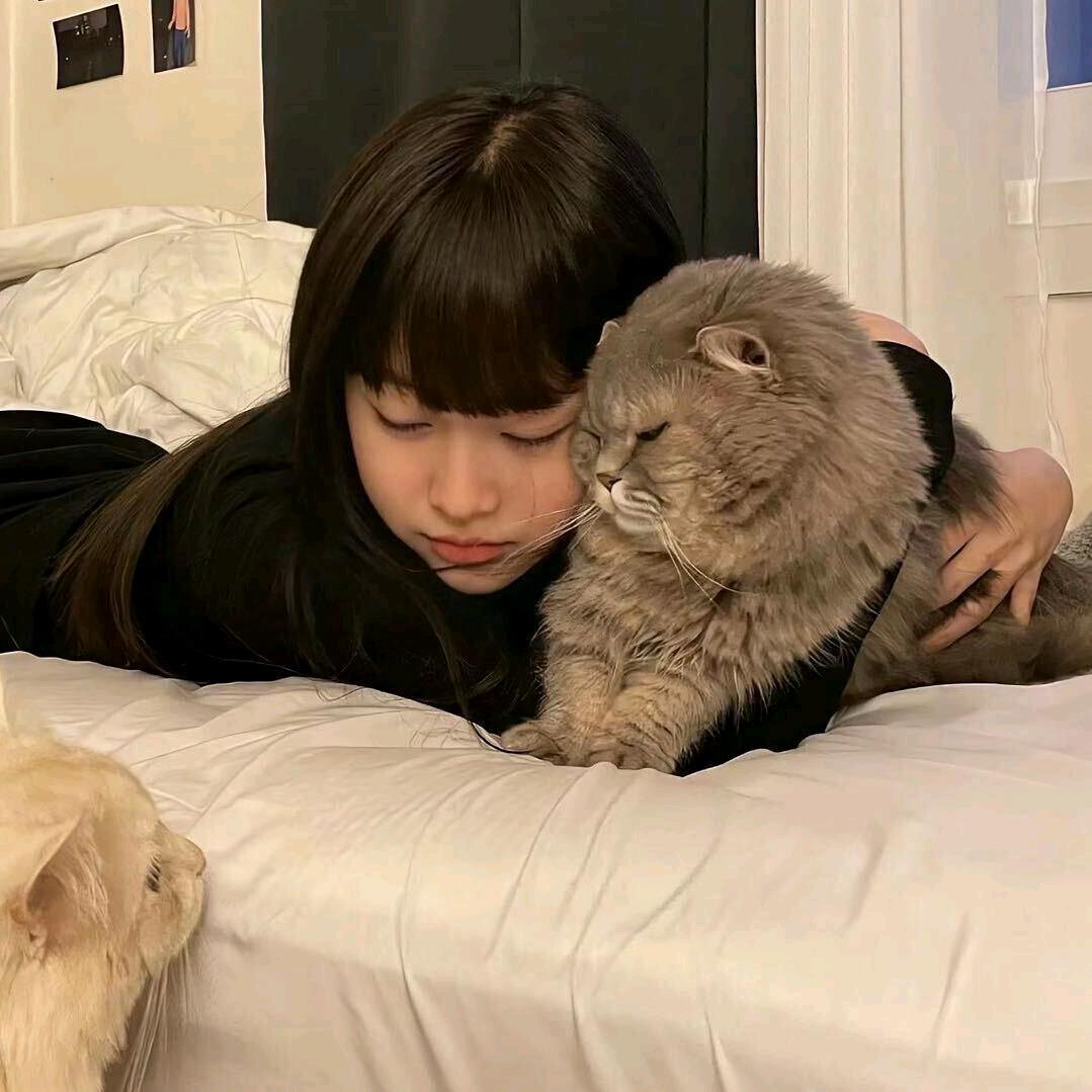吱哟