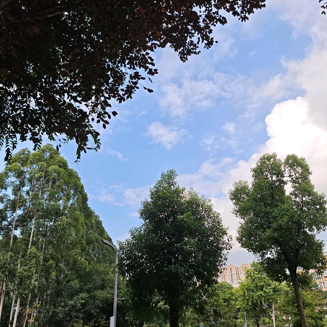 开心租官方账号