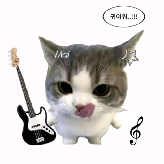 蛋卷