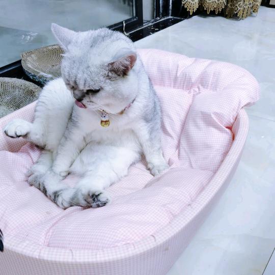 晚风知意