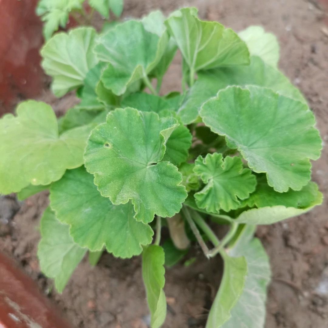 A青春点亮年华