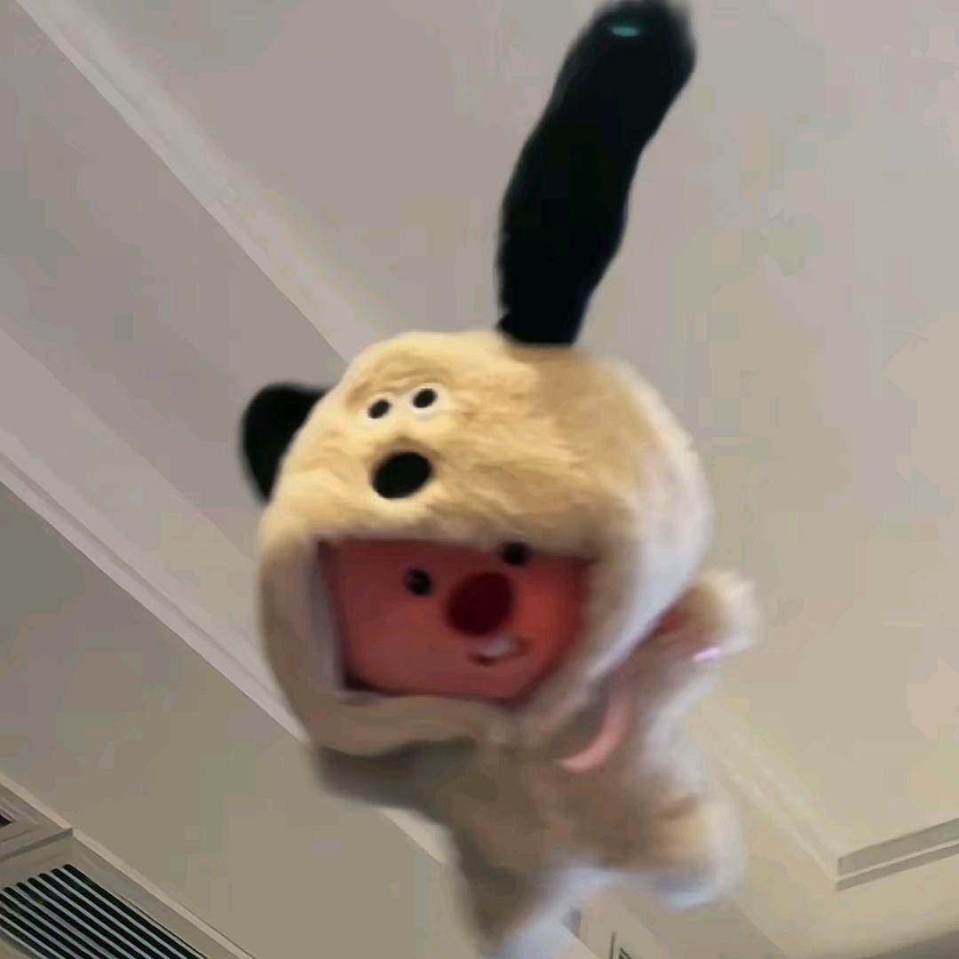 Jooo