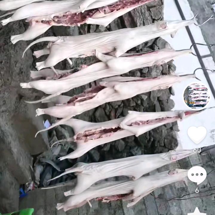 龚忠俊1515923349
