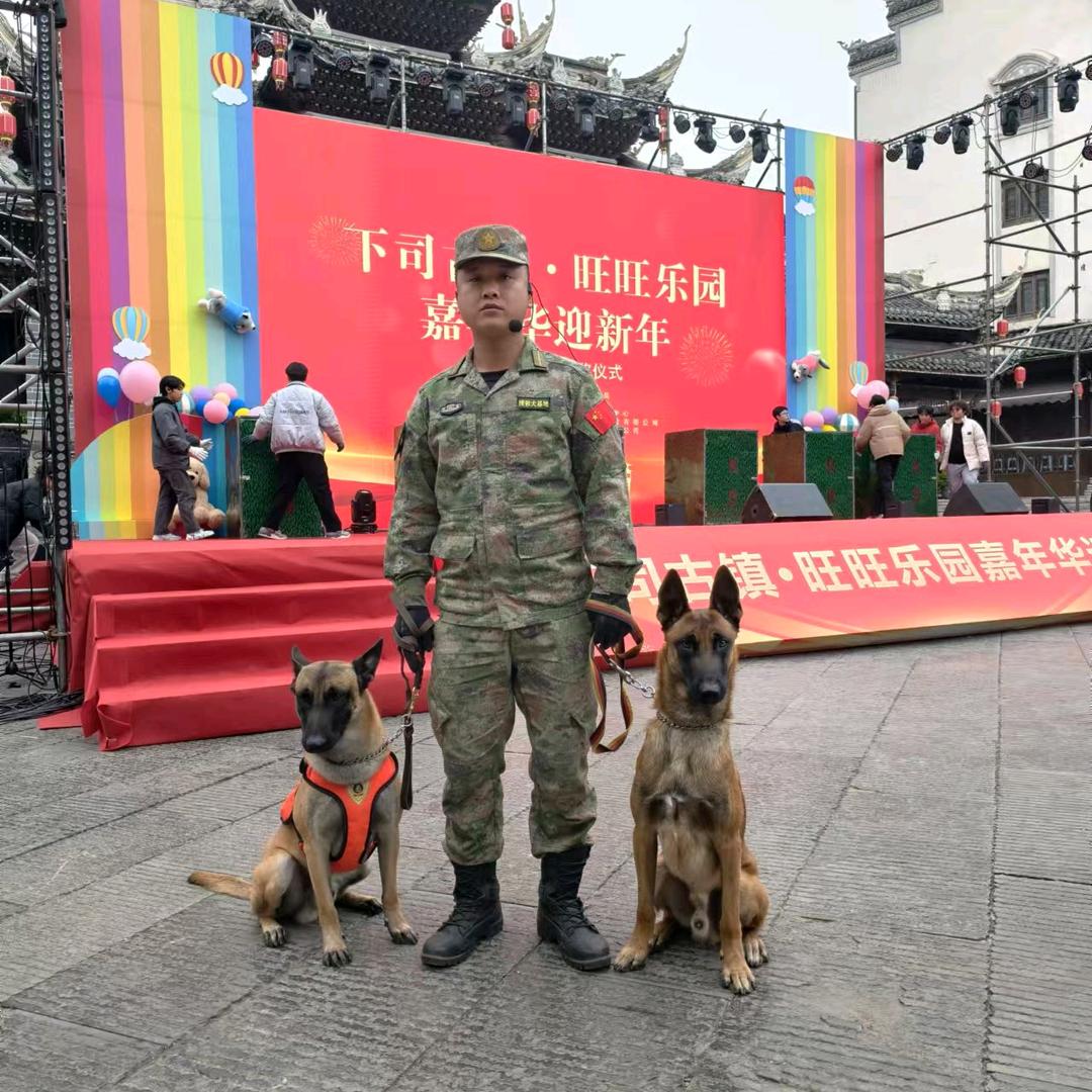 云南红河有家训犬学校（招学徒招学员）