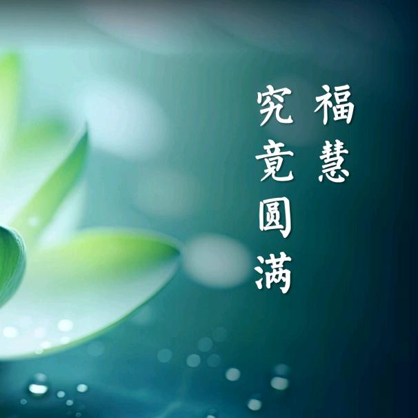 昶青