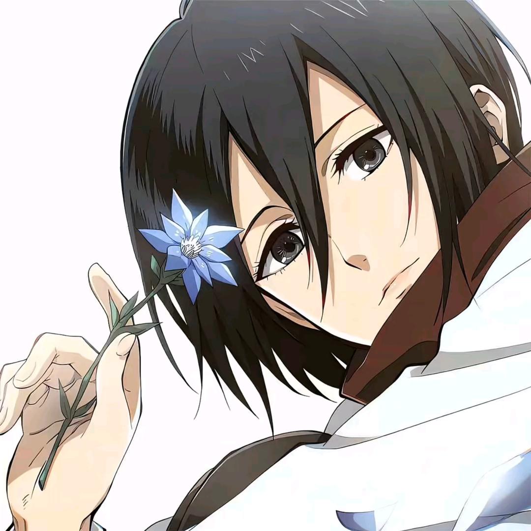 朝花夕拾