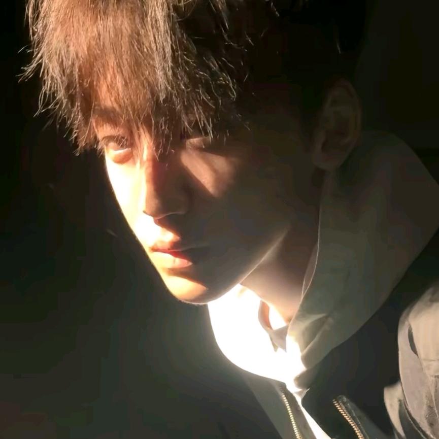 西伯利亚大仓鼠