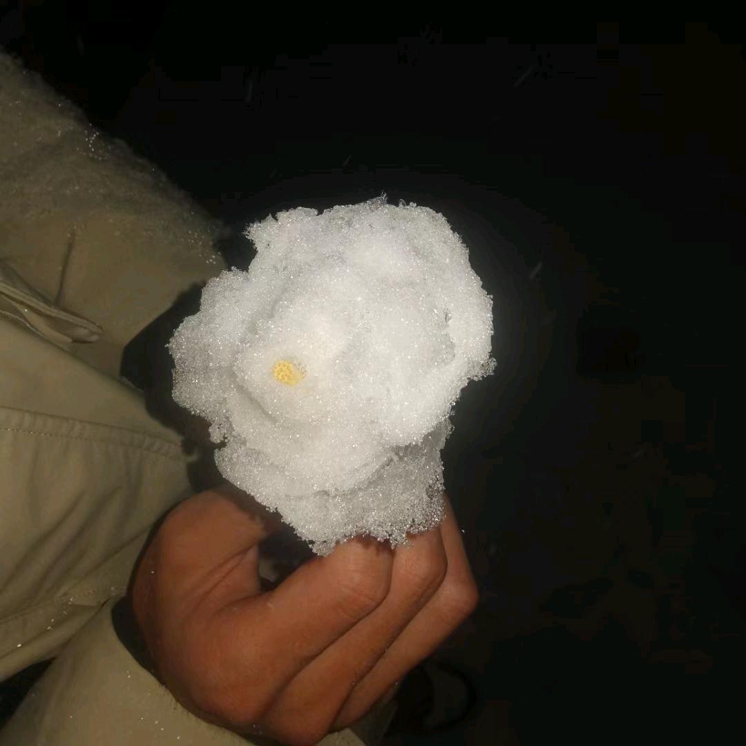 无题𝓜𝓲𝓷𝓽