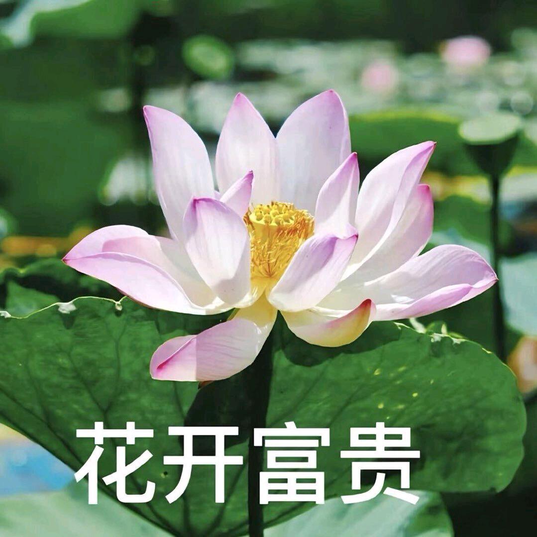 阳光。