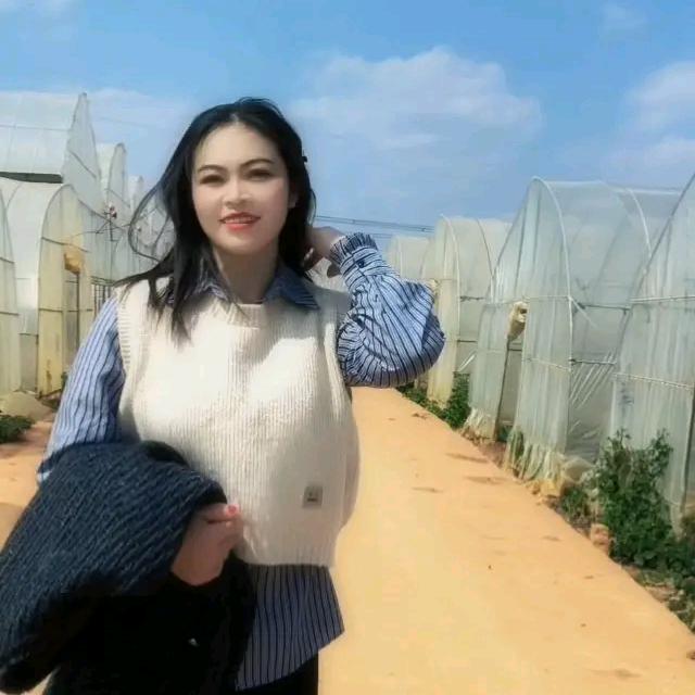杨丽丽