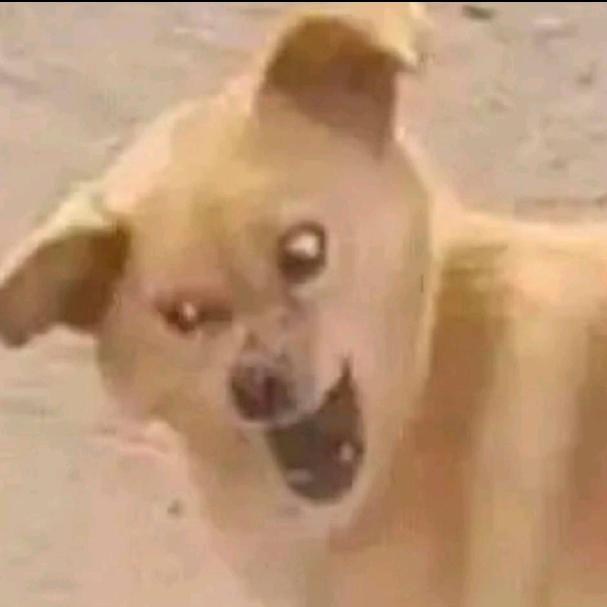 幸运蛋