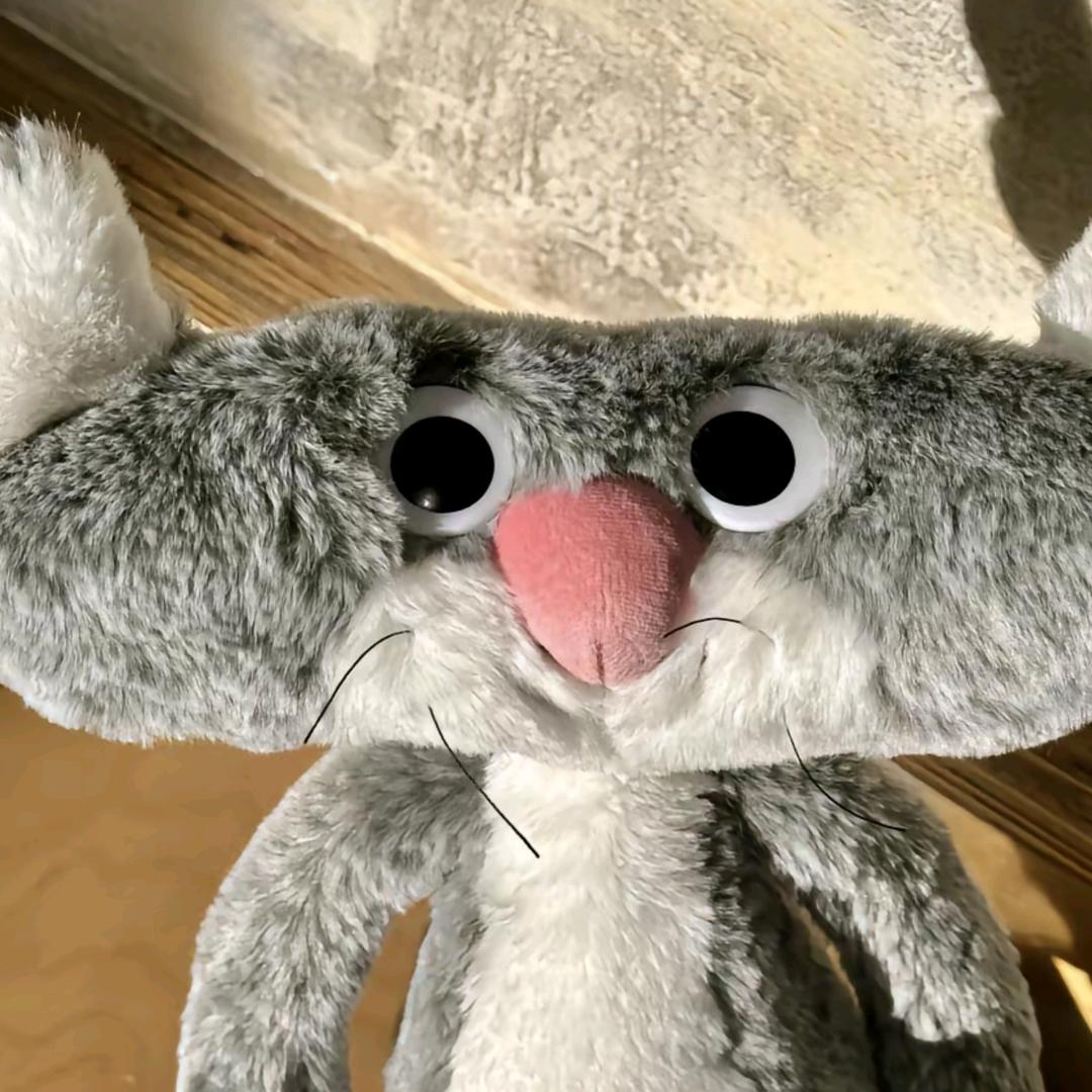 G港批发盒子王姐