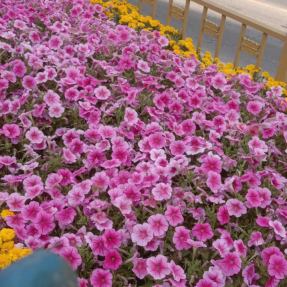 @雨中漫步
