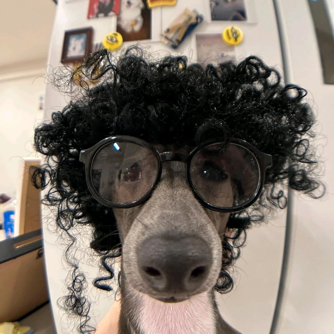 🌈小小小炸炸弹