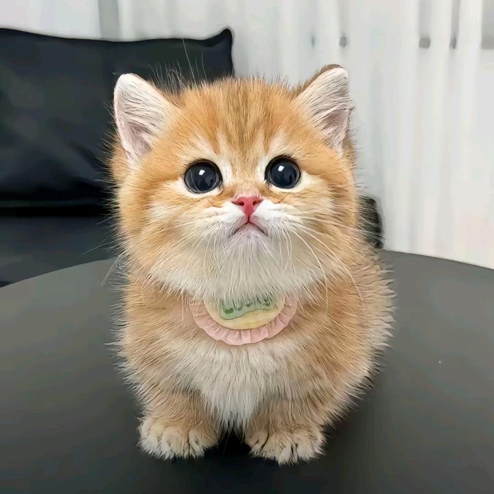 宜兴诚远人力～白小白