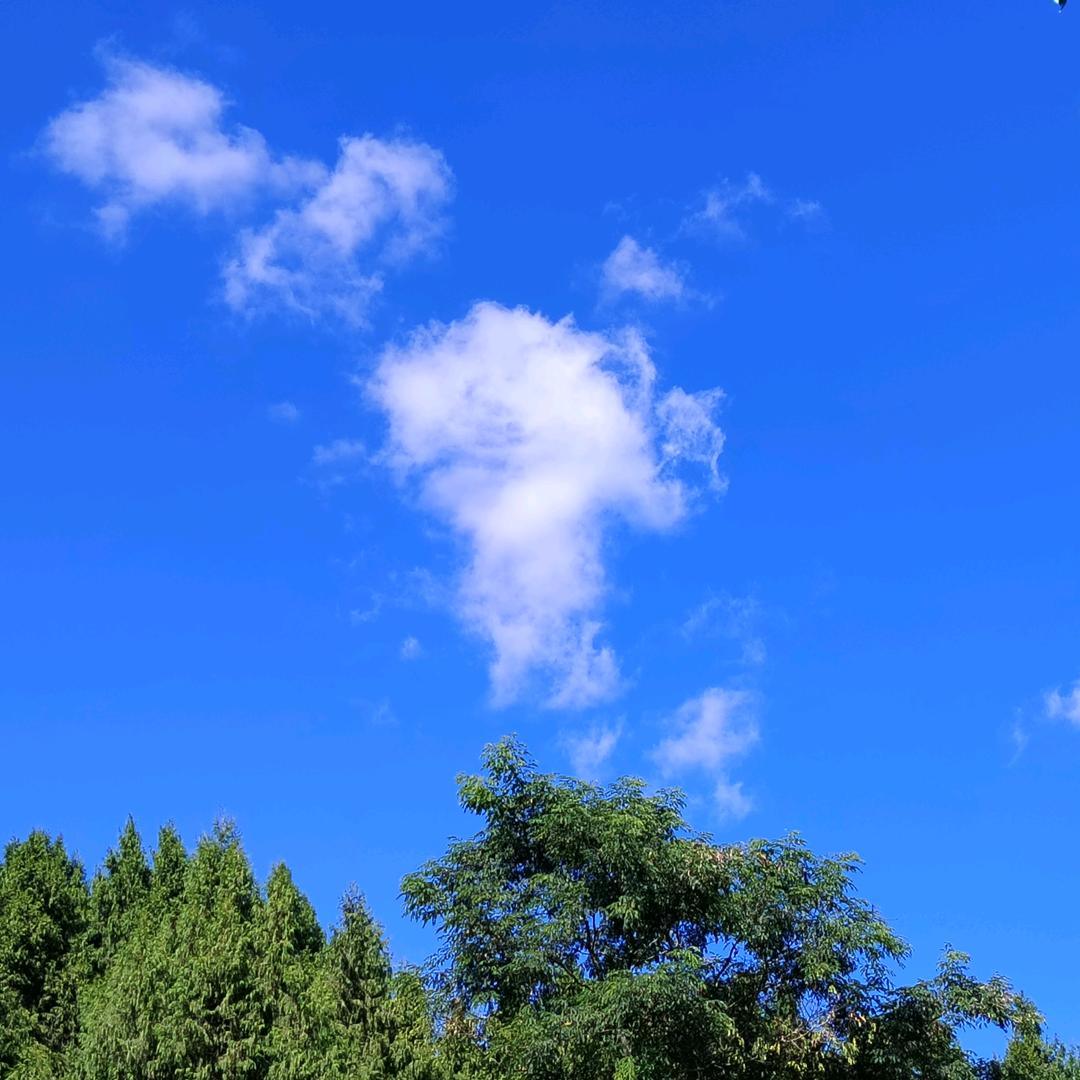 星期八