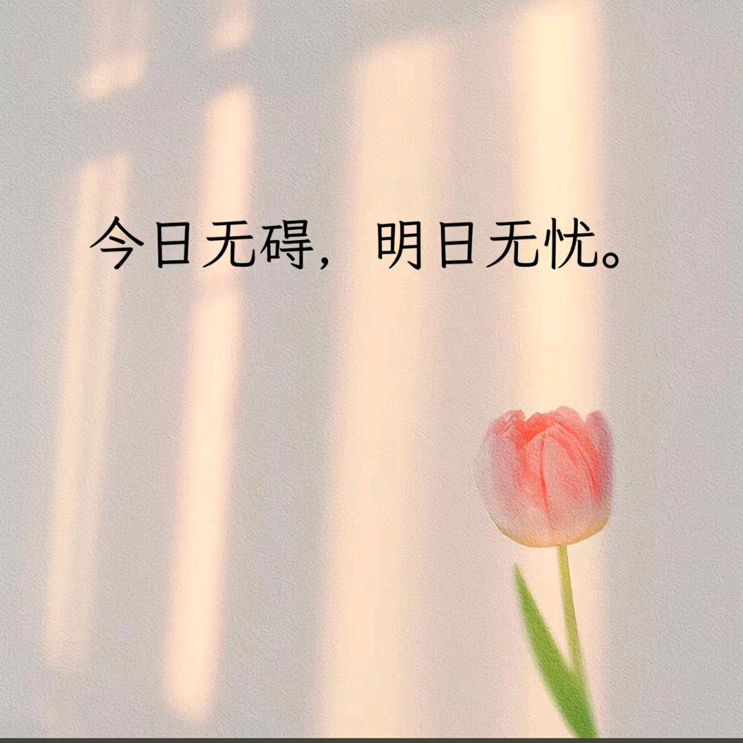清歌挽🎈流光
