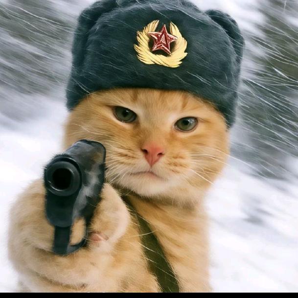 菠萝雪🌨️