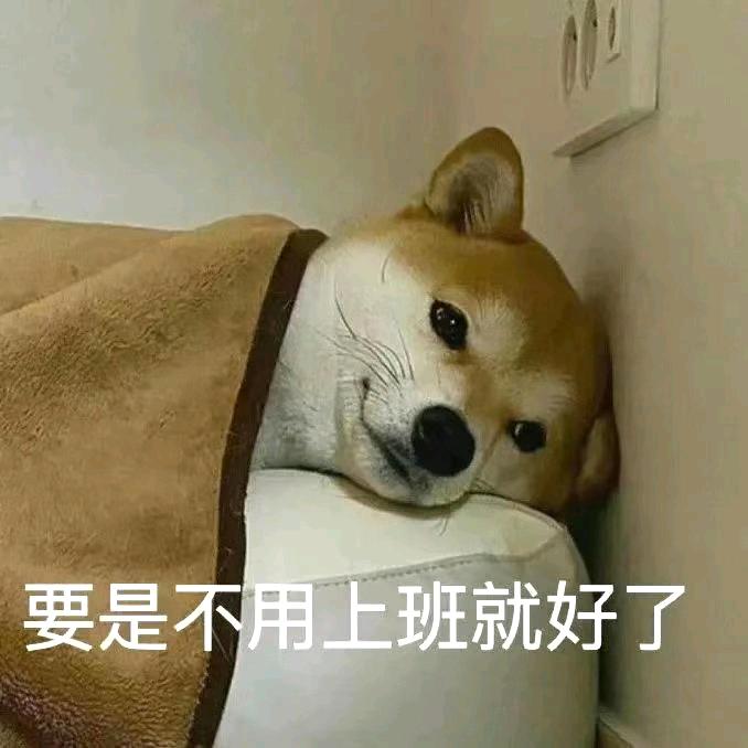 就叫小羊