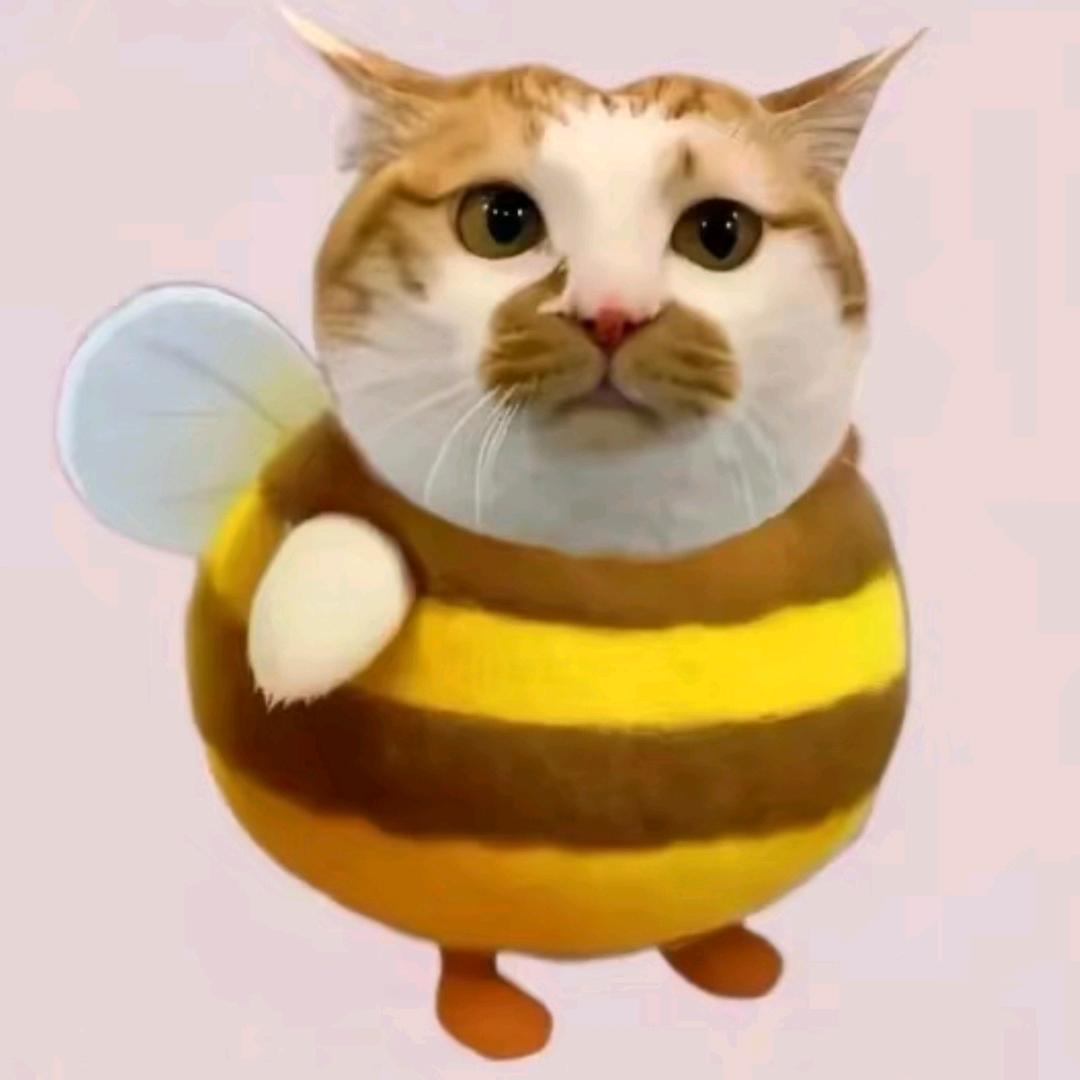 香蕉派🥞