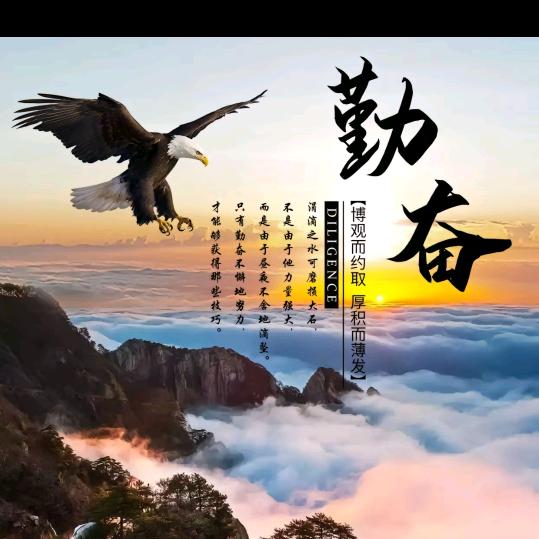 回归