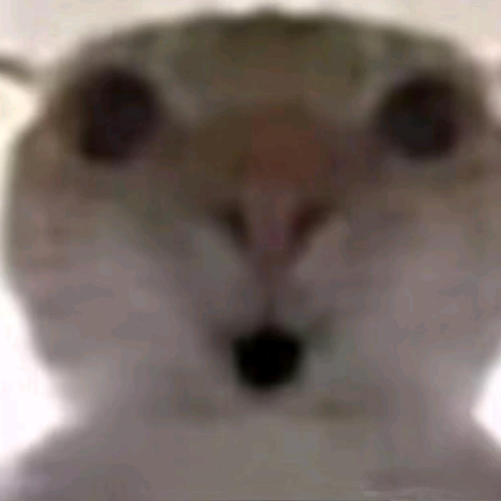 哈吉米跑刀大王（三角洲行动）