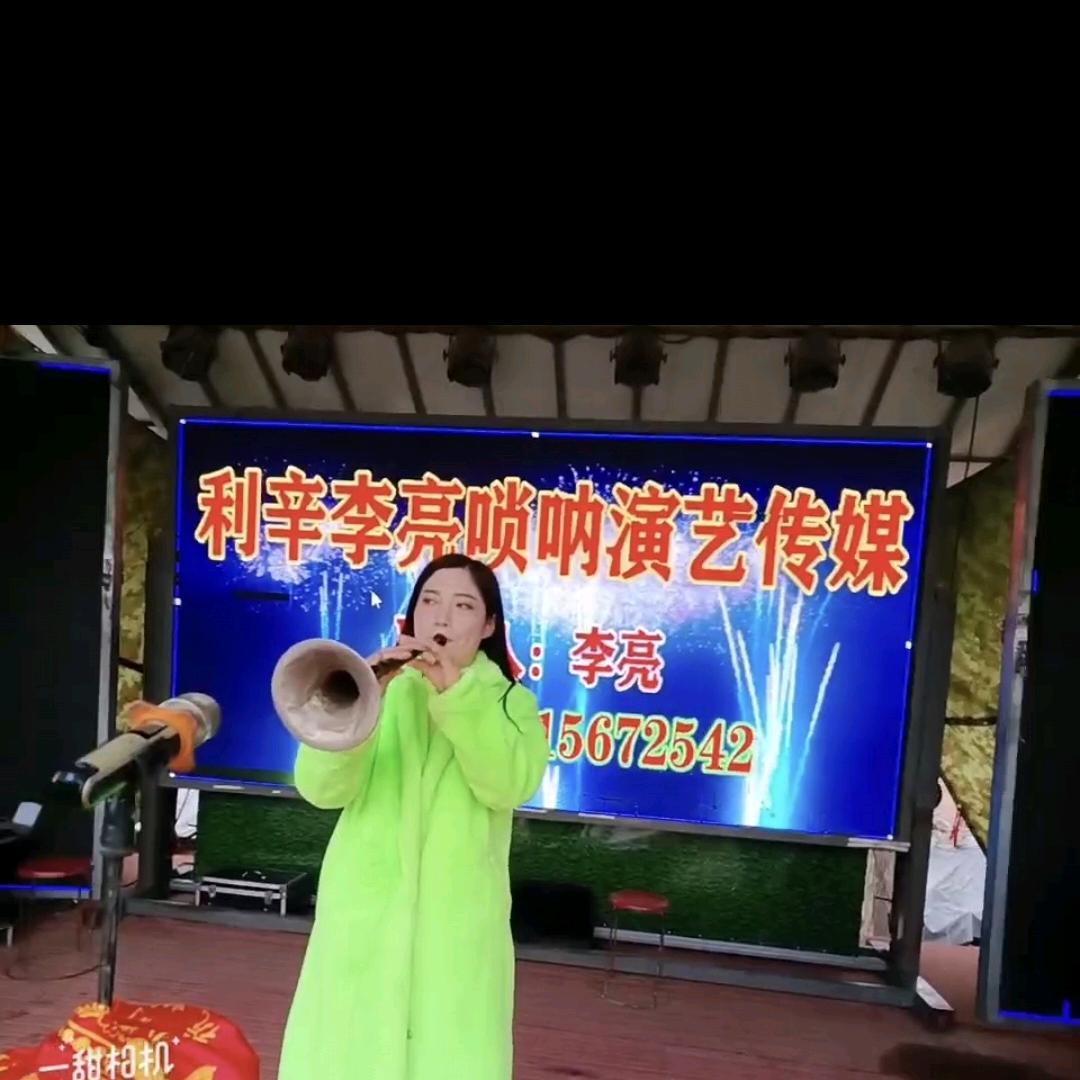 利辛李亮唢呐演艺传媒公司