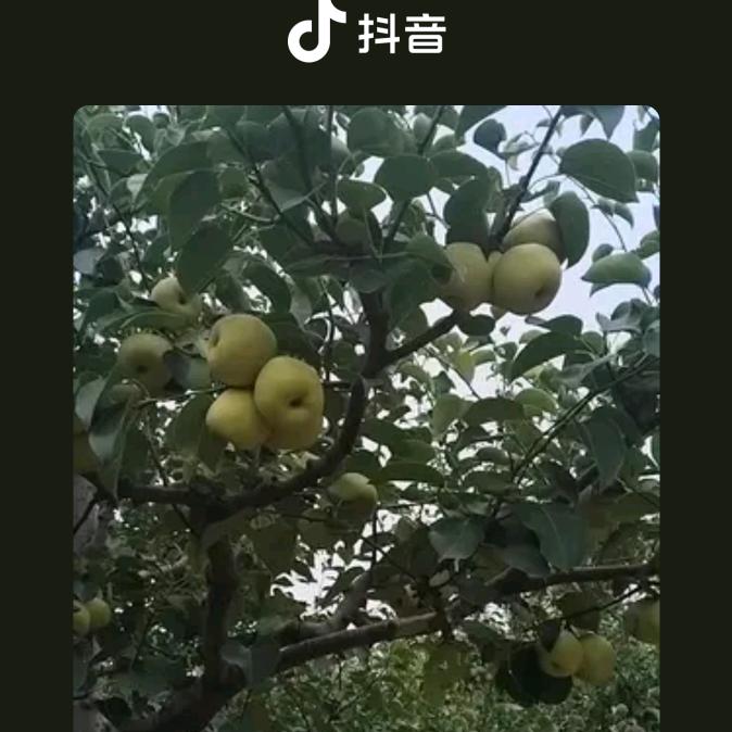 云跟风走