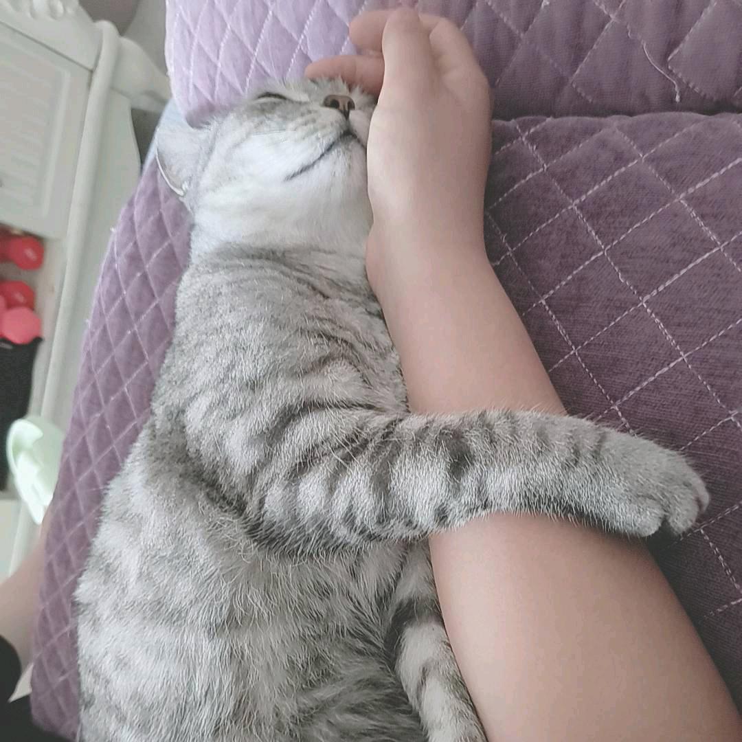 第一夫人李芬