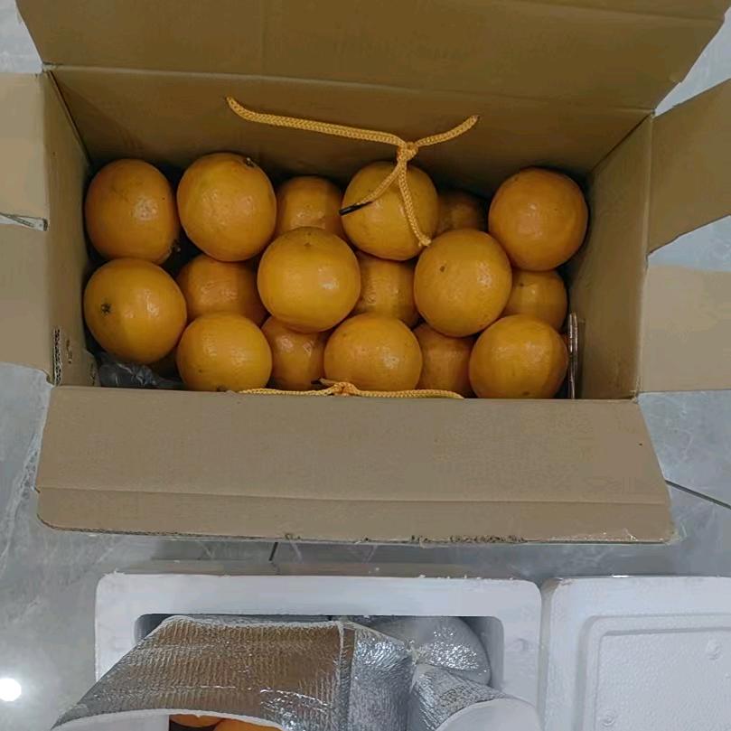 名字怎么起