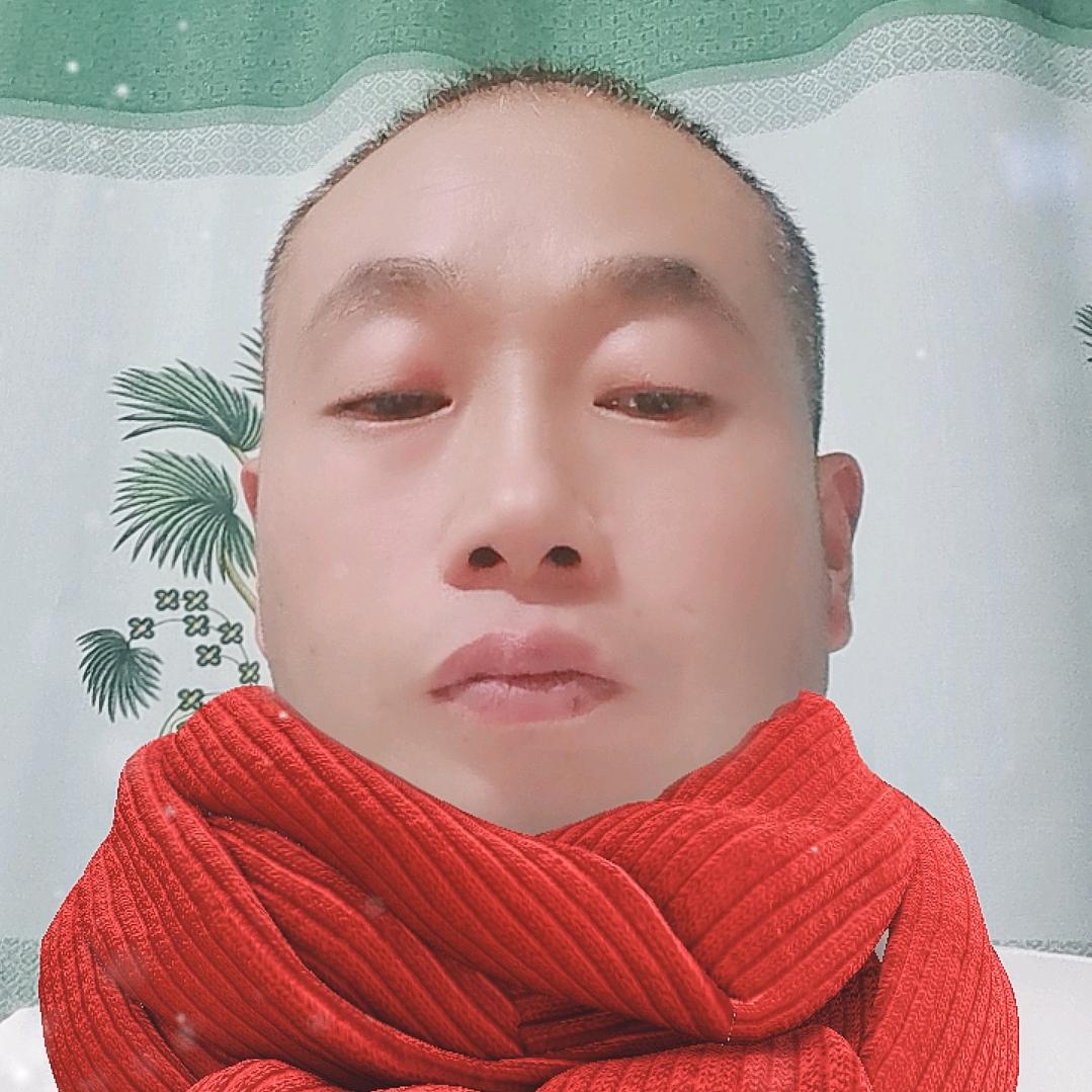 朱哥