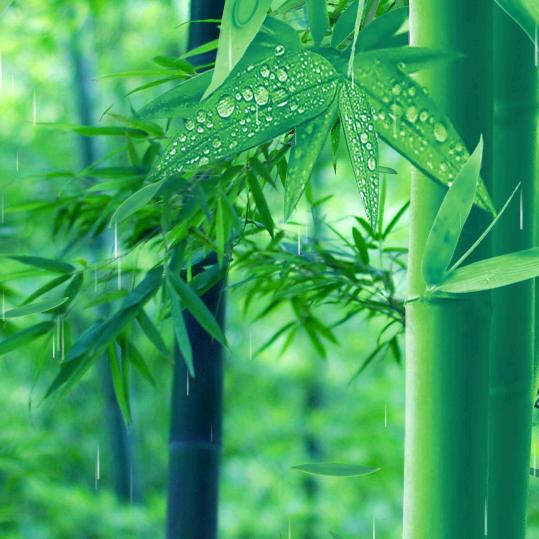 经典老歌❤️❤️