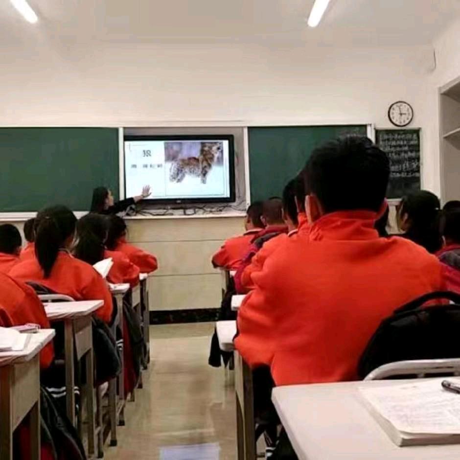 河北米芽儿教育咨询