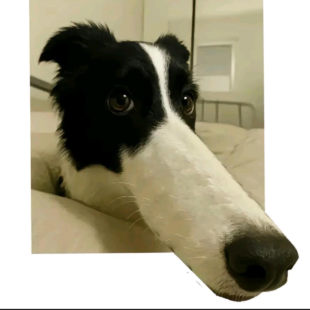 ？