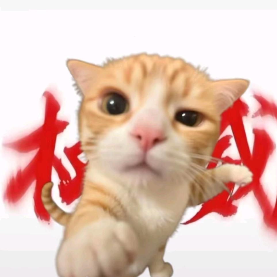 你是不是有猫饼bro