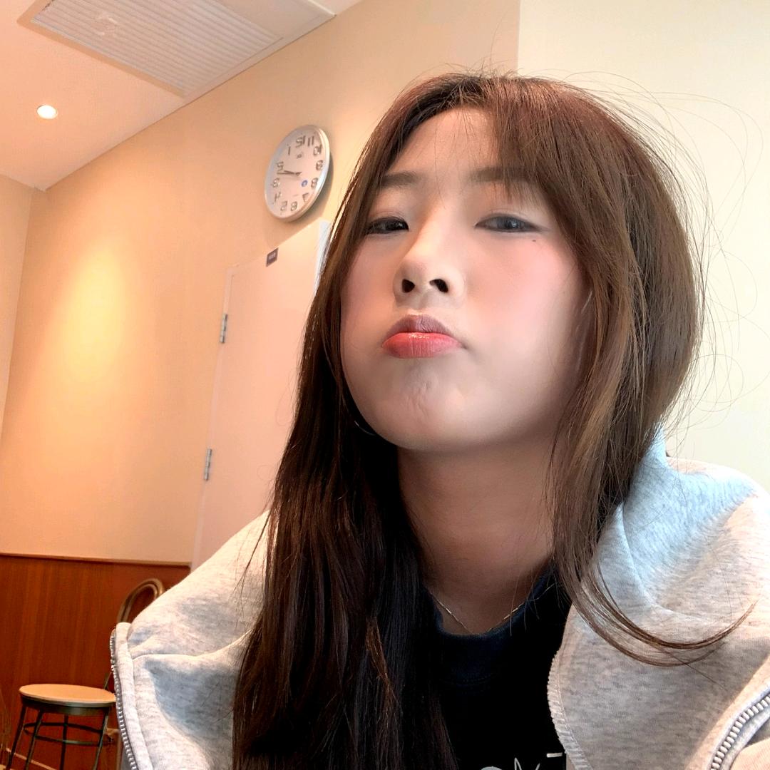 憨啵鸽