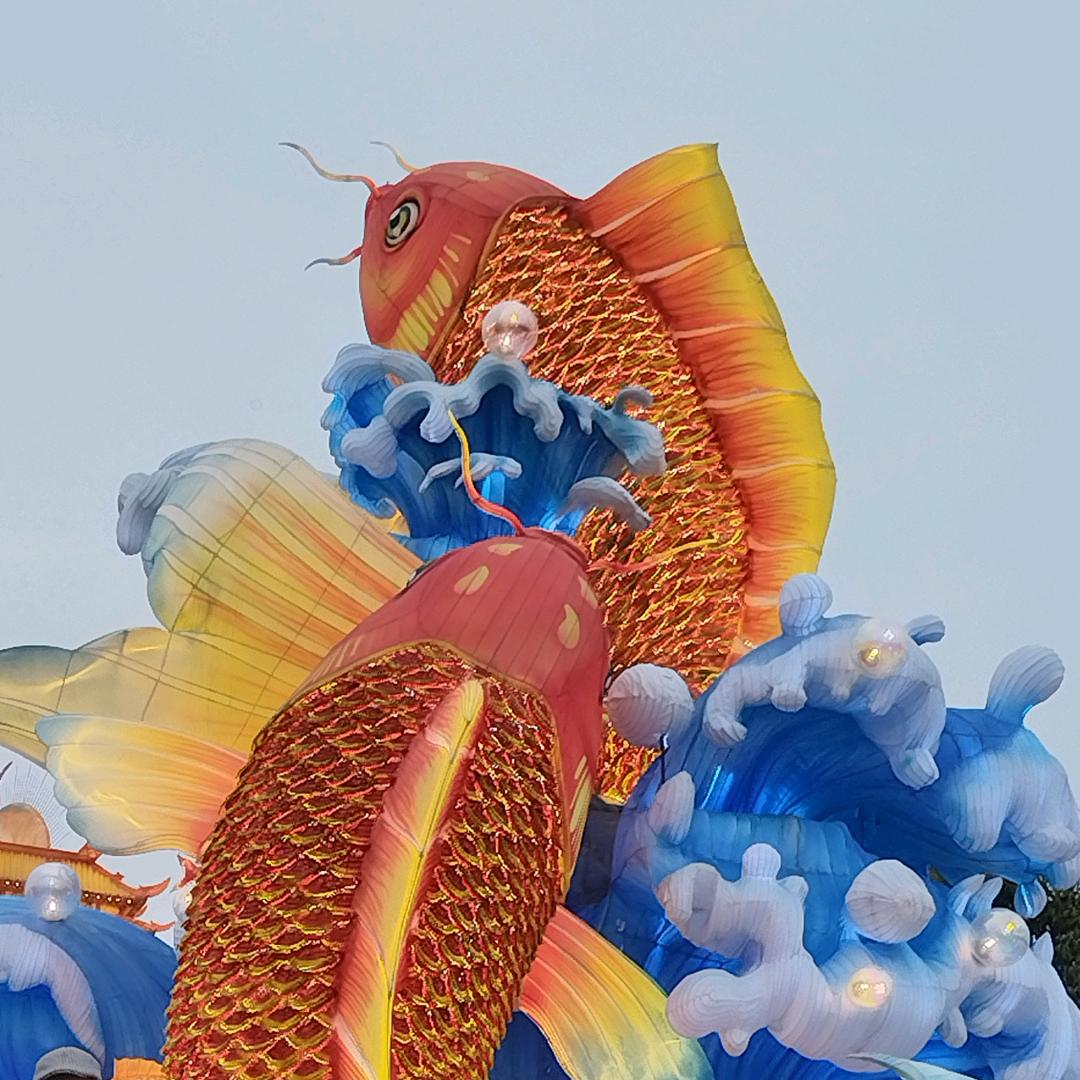 天天开心刘大姐