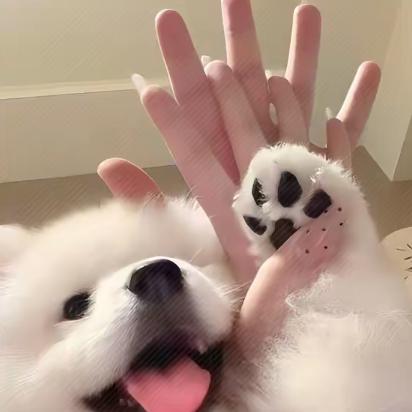 拉你头上