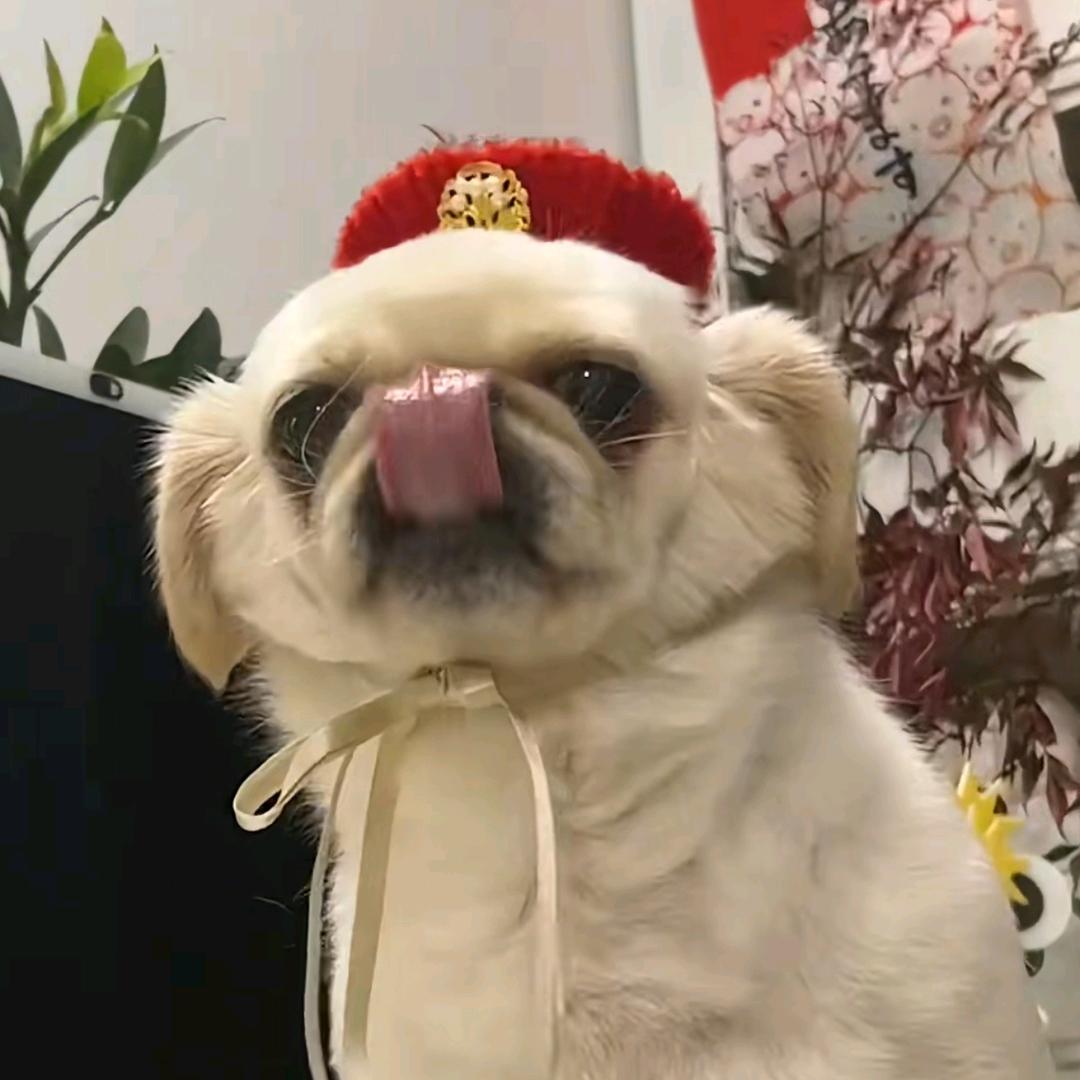 北河三🦄