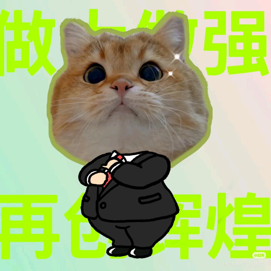 （新号版）七七宠物用品批发