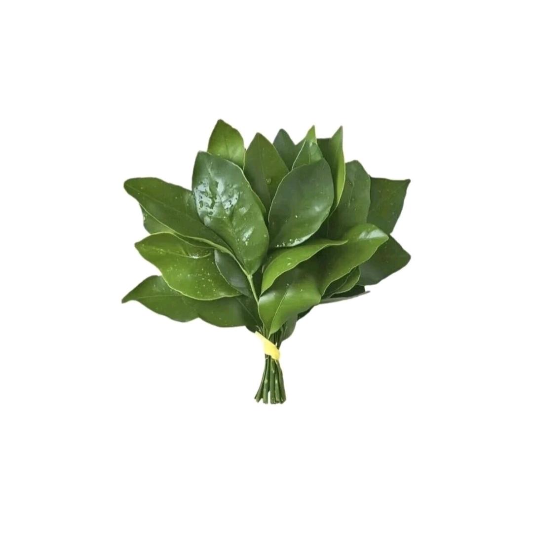 🍏🍏