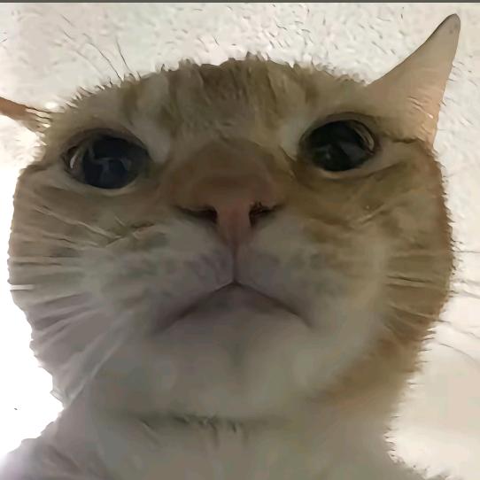 打盹