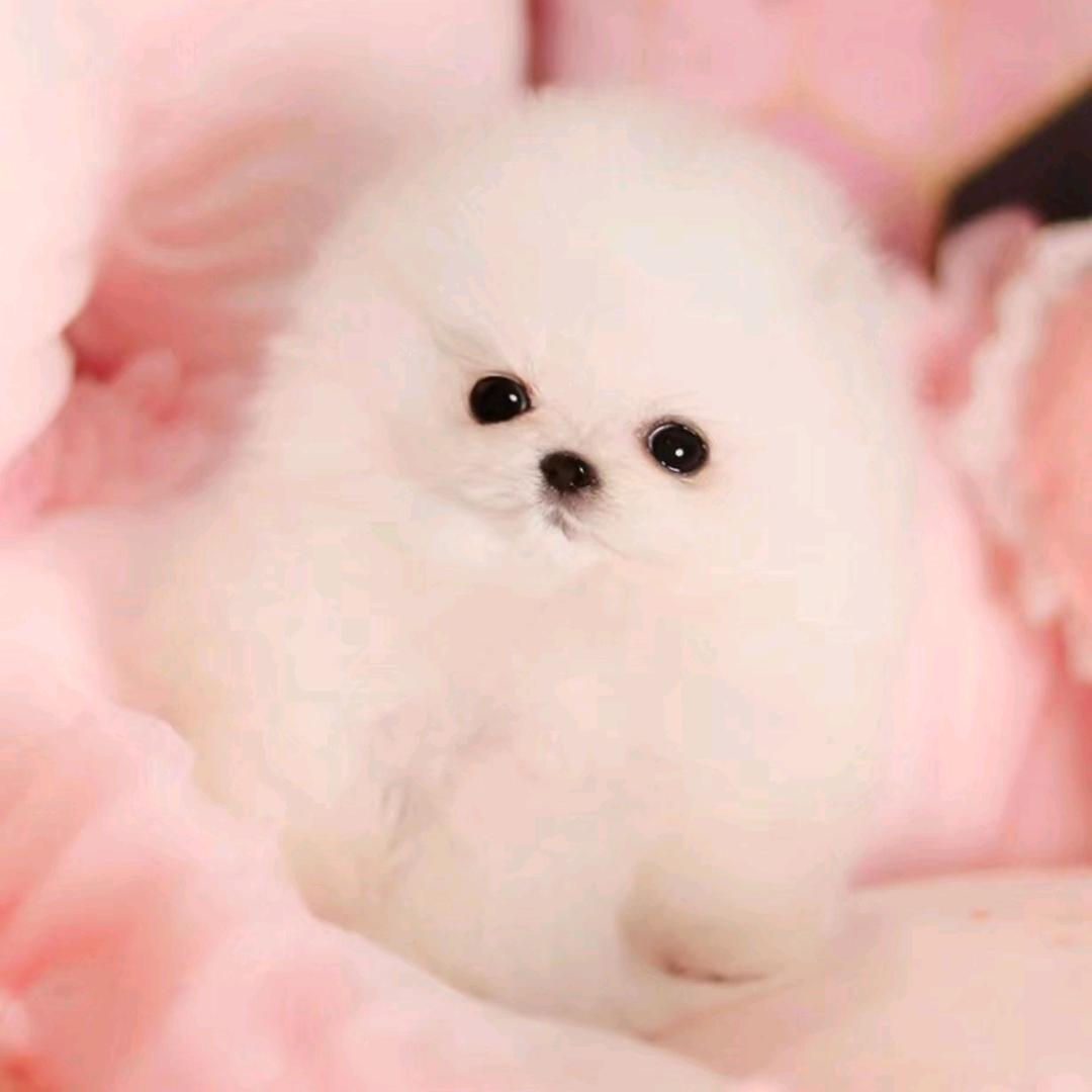 心静自然凉