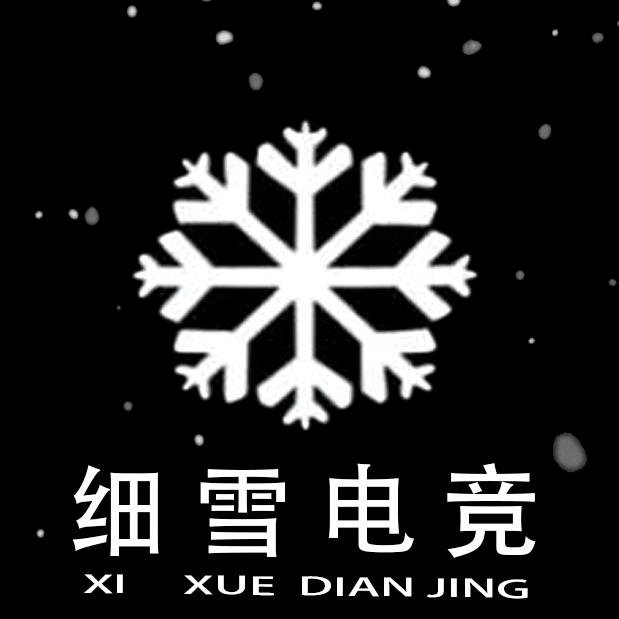 细雪电竞（三角洲行动）